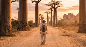 Un voyageur avec un sac à dos marche sur une piste de terre bordée de grands baobabs au coucher du soleil à Madagascar.