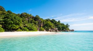 Vue panoramique d'une plage tropicale immaculée avec sable blanc, eaux turquoise, végétation luxuriante et rochers.