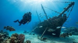 Un plongeur explore une épave de bateau sous-marine, entouré de poissons et de coraux, baigné par des rayons de soleil.
