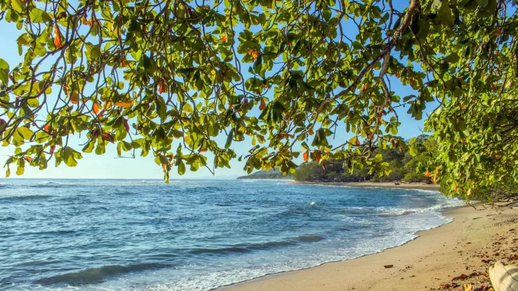 Budget Costa Rica 2 semaines : ce qu'il faut vraiment prévoir pour partir seul : photo de couverture pour illustrer cet article