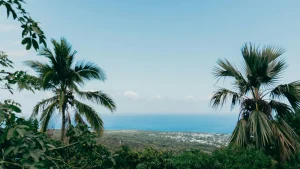 Martinique 10 jours en solo : photo de couverture pour illustrer cet article