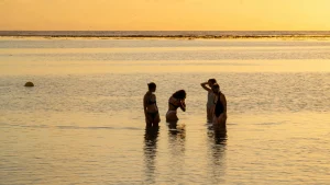 Période la moins chère pour partir à Tahiti : photo de couverture pour illustrer cet article