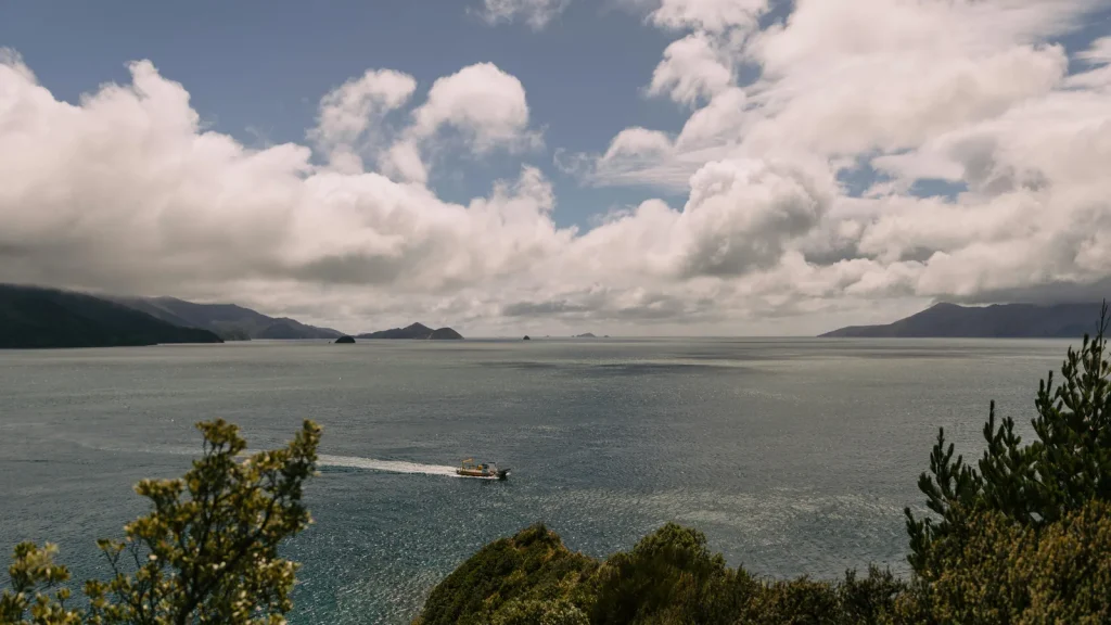 Prix voyage Nouvelle-Zélande : ce que ça coûte vraiment quand on part seul : photo de couverture pour illustrer cet article