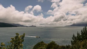 Prix voyage Nouvelle-Zélande : ce que ça coûte vraiment quand on part seul : photo de couverture pour illustrer cet article