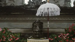 Quel sac choisir pour partir seul à Bali : photo de couverture pour illustrer cet article