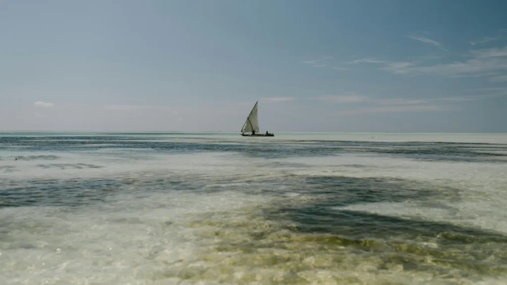 Voyage solo en Tanzanie : photo de couverture pour illustrer cet article
