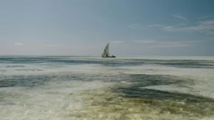 Voyage solo en Tanzanie : photo de couverture pour illustrer cet article