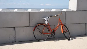 visuel principal sur Île d'Oléron