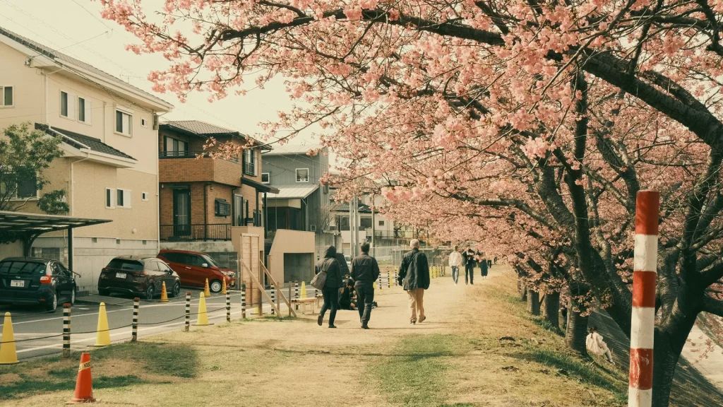 visuel principal sur Quand partir au Japon