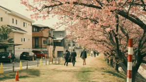visuel principal sur Quand partir au Japon