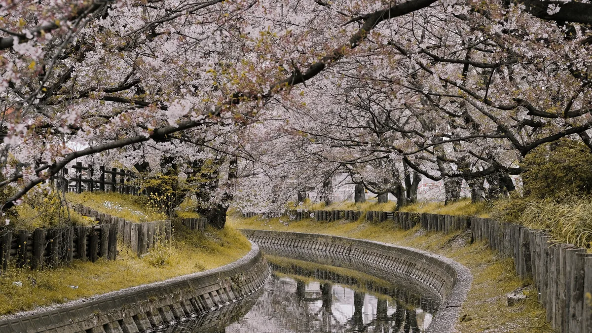 visuel secondaire sur Quand partir au Japon
