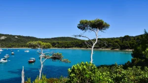 visuel principal sur Porquerolles