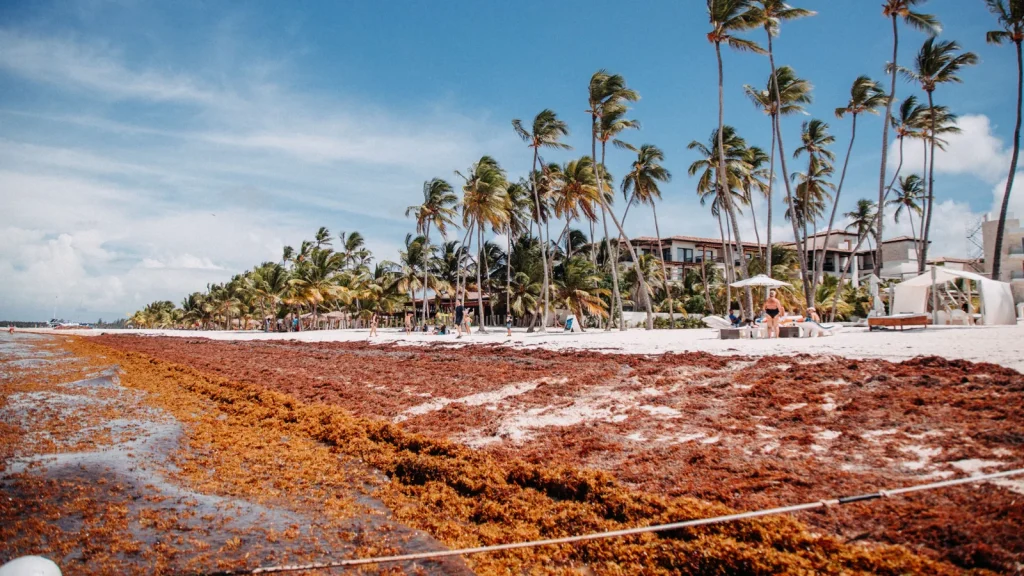 visuel principal sur Voyage République dominicaine