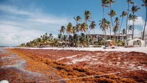 visuel principal sur Voyage République dominicaine