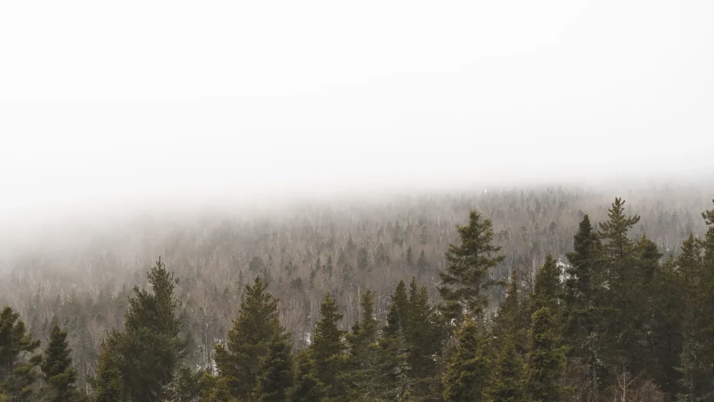 visuel principal sur Tadoussac