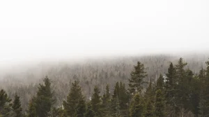 visuel principal sur Tadoussac
