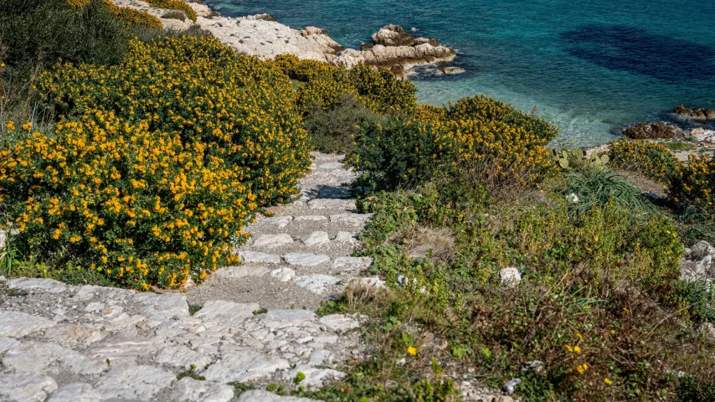 Paysage et point de repère pour Visiter Otranto en solo, vieille ville, plages et accès